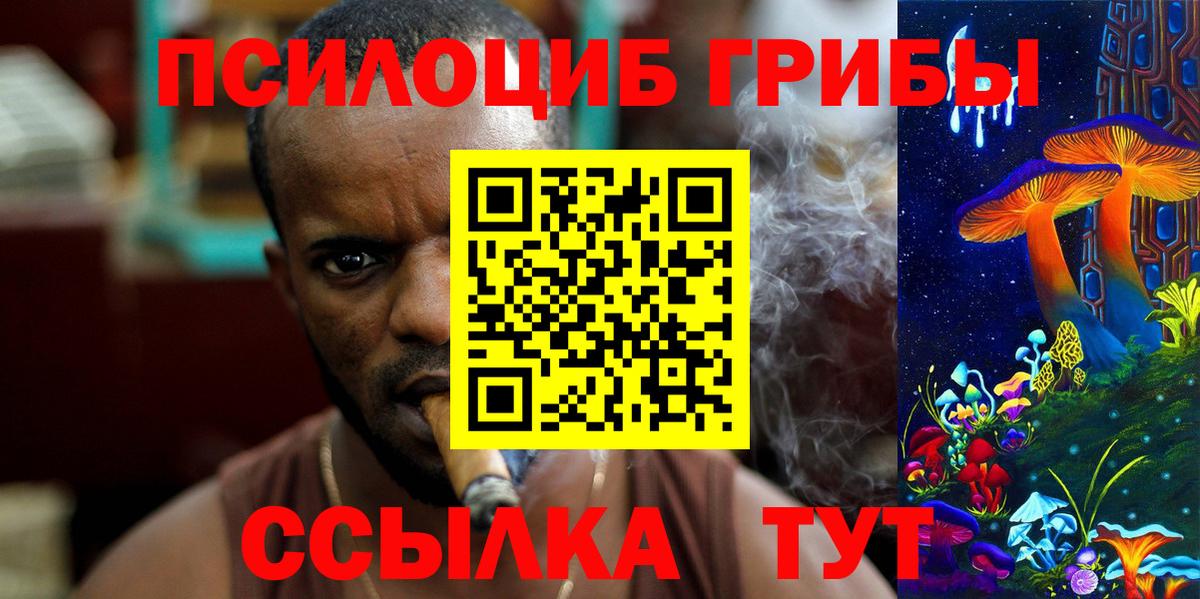Галлюциногенные грибы Psilocybine cubensis  Вход с VPN  Чернушка 